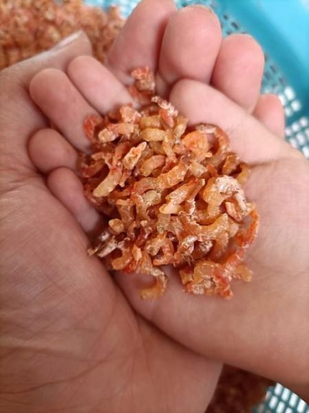 虾米图片大全哪里找_如何免费下载高清图