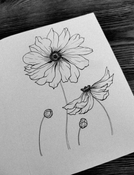 黑白绘画图片大全_如何临摹