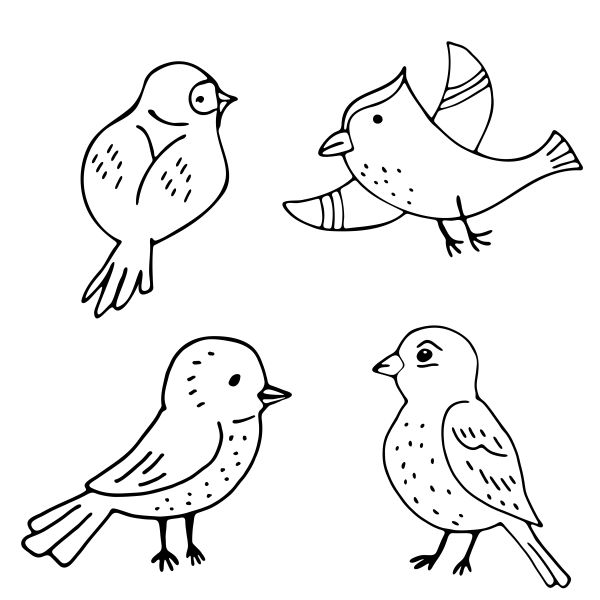 小简笔画图片大全_如何快速学会画简笔画