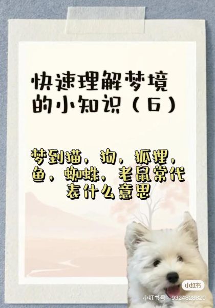 梦到捡到猫是什么意思_梦见捡猫预示什么