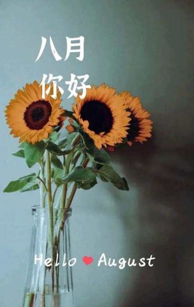 8月你好图片大全_如何免费下载高清