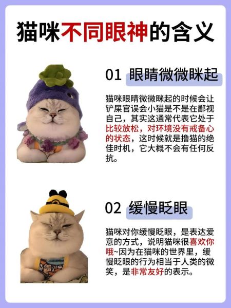 眼神图片大全_如何读懂眼神含义