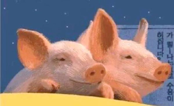 梦到小猪是什么意思_周公解梦小猪预兆