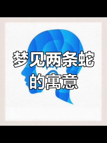 梦到大蛇是什么意思_梦到大蛇预示着什么