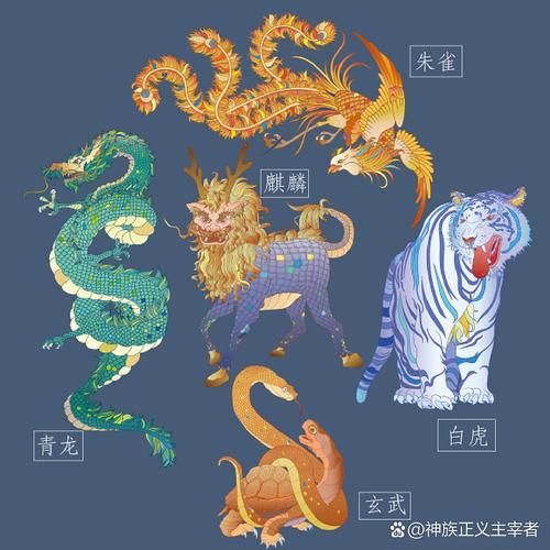 四大神兽图片大全_青龙白虎朱雀玄武高清图鉴