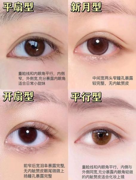 双眼皮图片大全_双眼皮类型有哪些