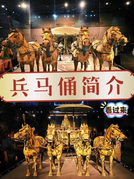 兵马俑图片大全_如何辨别兵马俑的兵种