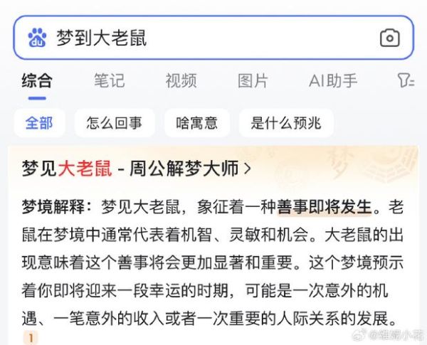 梦到老鼠咬我_是什么意思