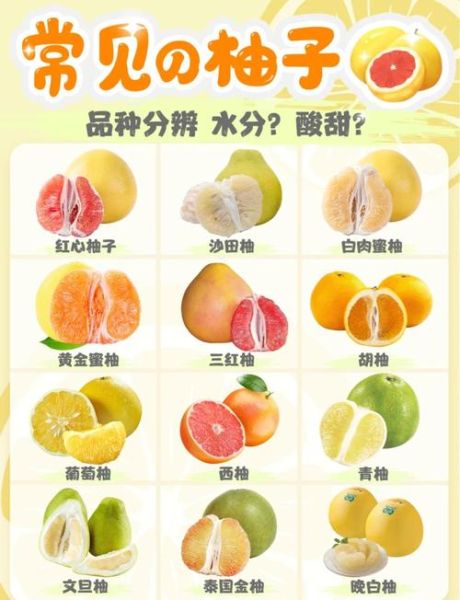 柚子图片大全_柚子品种怎么区分