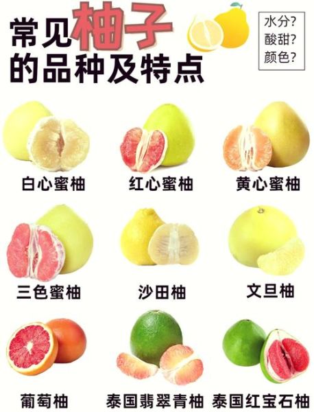 柚子图片大全_柚子品种怎么区分