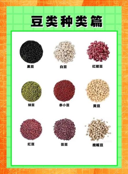 豆类图片大全有哪些_如何识别常见豆类