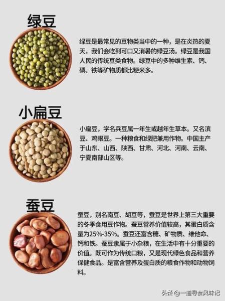 豆类图片大全有哪些_如何识别常见豆类