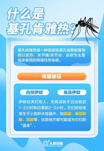 萝莉迅雷下载安全吗_如何找到无病毒资源