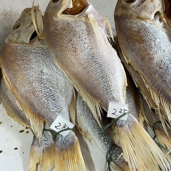 红鱼图片大全_红鱼品种怎么区分