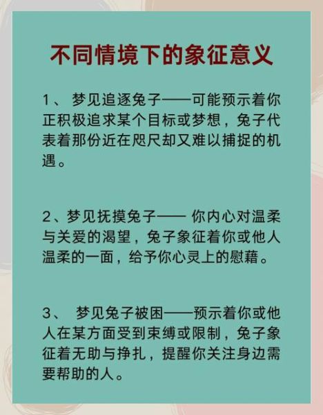 梦到兔子生了好多小兔子_周公解梦准吗
