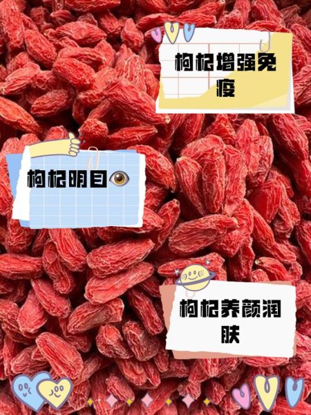 宝宝吃枸杞的好处_宝宝多大可以吃枸杞