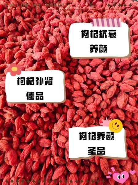 宝宝吃枸杞的好处_宝宝多大可以吃枸杞