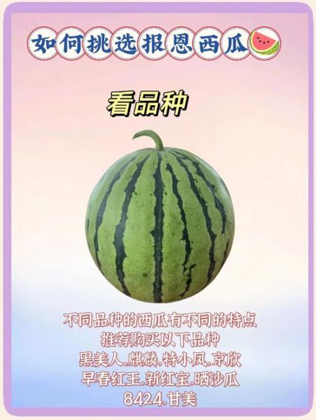 梦到买西瓜是什么意思_梦见买西瓜好不好