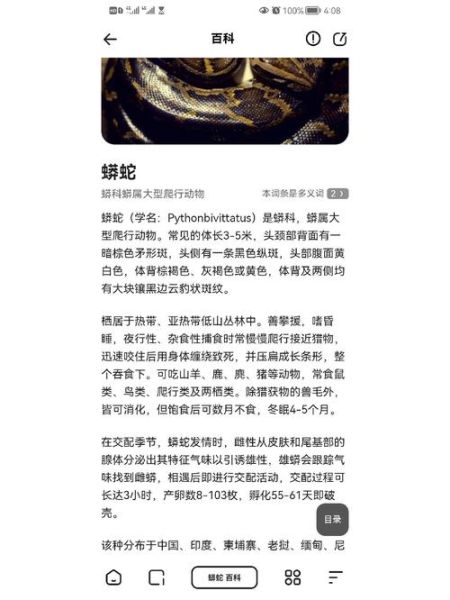 梦到蟒蛇追我_梦见蟒蛇追自己是什么意思