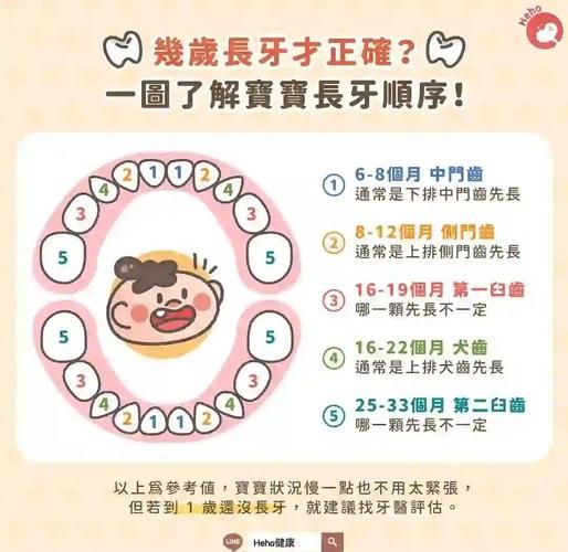 宝宝牙齿长齐要多久_乳牙全部萌出时间表