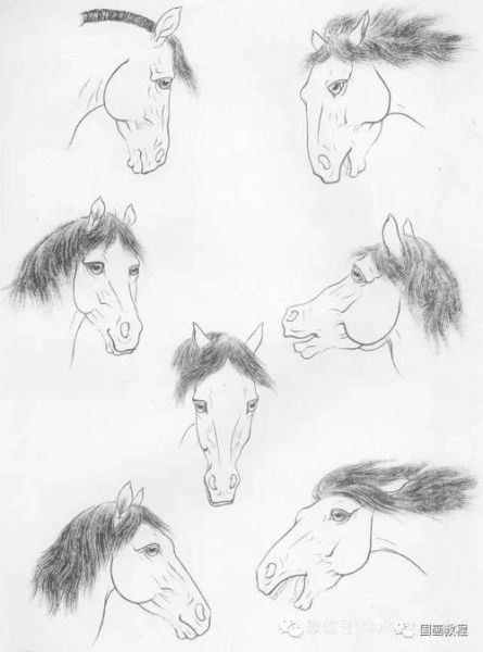 画马图片大全_如何画马步骤详解