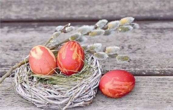 梦到买鸡蛋是什么意思_梦见买鸡蛋的预兆