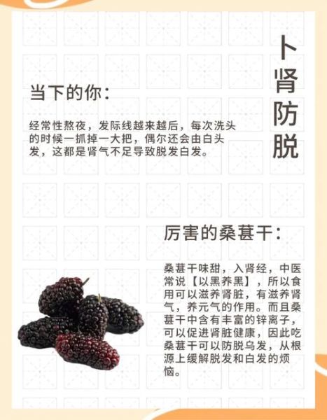 梦到桑葚是什么意思_桑葚梦境解析