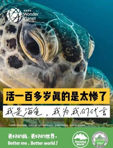 梦到大海龟是什么意思_大海龟梦境解析