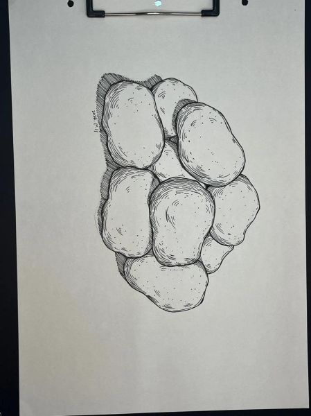 土豆图片大全_土豆怎么画简单又好看