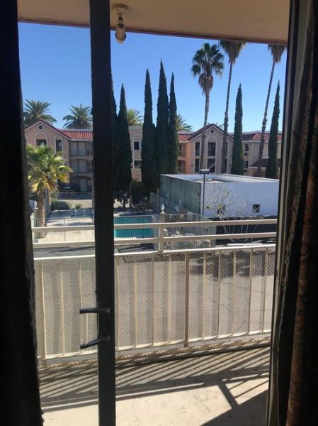 玫瑰汽车旅馆迅雷下载_玫瑰汽车旅馆哪里能看