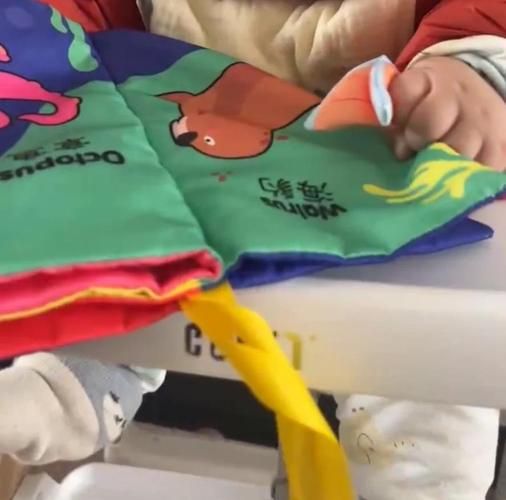 宝宝椅怎么选_宝宝餐椅有必要买吗