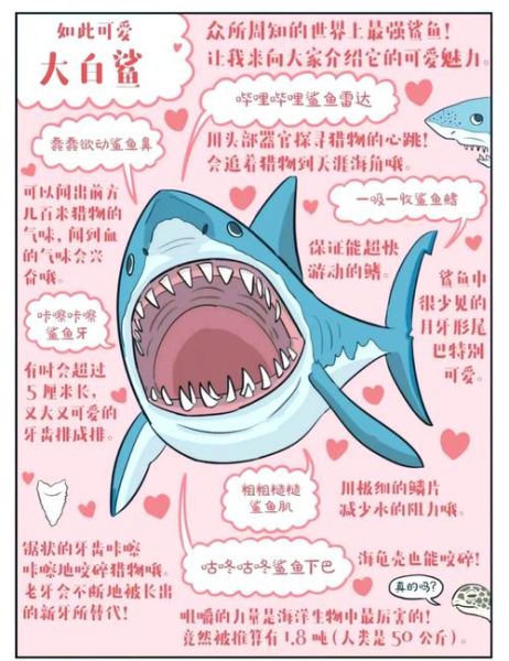 梦到大鲨鱼是什么意思_梦见大鲨鱼攻击我怎么办