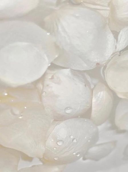 白色图片大全哪里找_白色背景图怎么拍