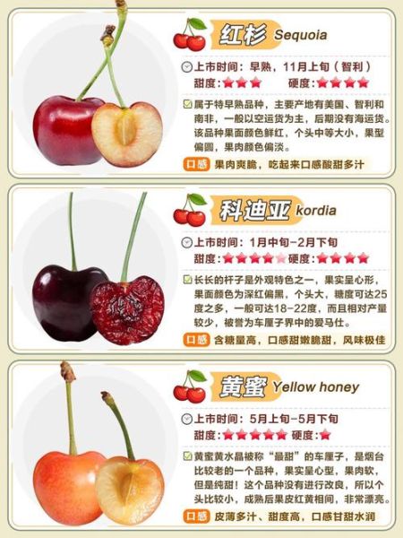 车厘子图片大全_车厘子品种怎么区分