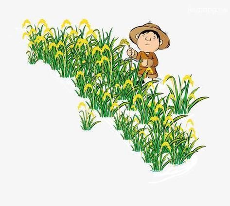 梦到种地是什么意思_梦到种地预示什么