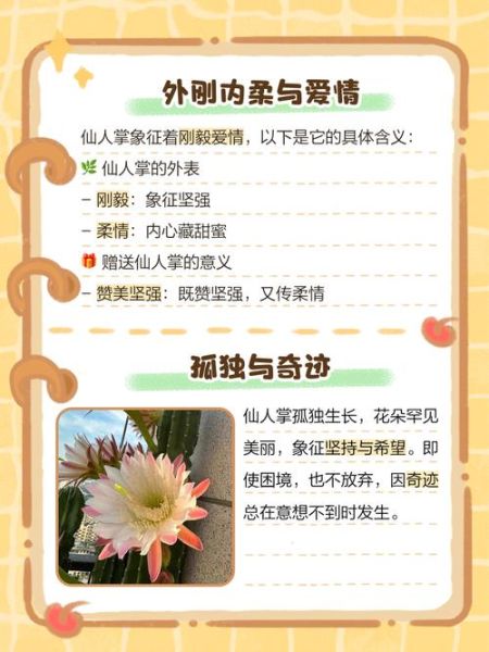 梦到仙人掌是什么意思_仙人掌梦境解析