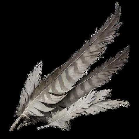 梦到羽毛是什么意思_梦见羽毛预示什么