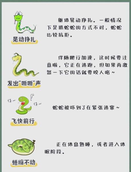 梦到蛇咬猫是什么意思_蛇咬猫梦境解析