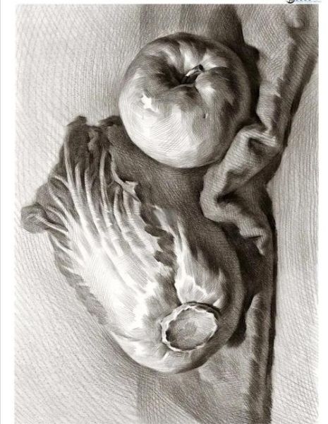 素描图片大全大图_初学者如何临摹