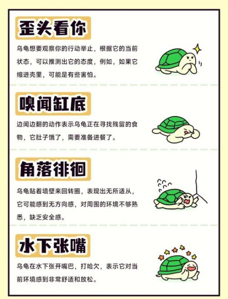 梦到被乌龟咬是什么意思_乌龟咬人梦境解析