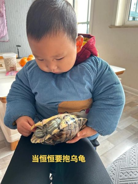 梦到被乌龟咬是什么意思_乌龟咬人梦境解析