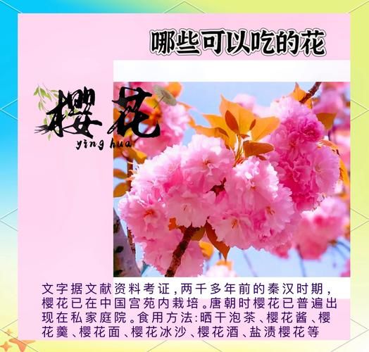 梦到吃花是什么意思_梦见吃花预示着什么