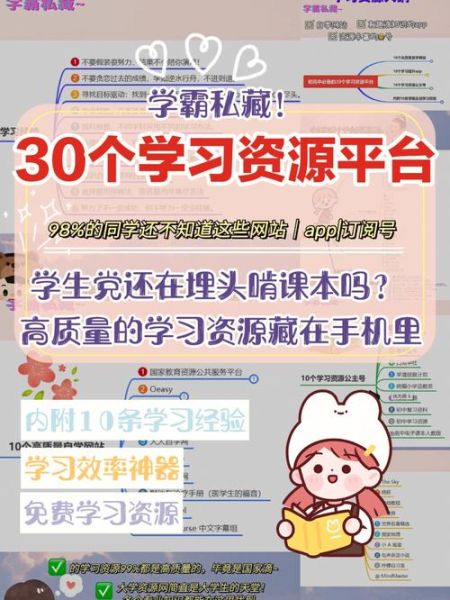 中学生迅雷下载安全吗_如何正确获取学习资源