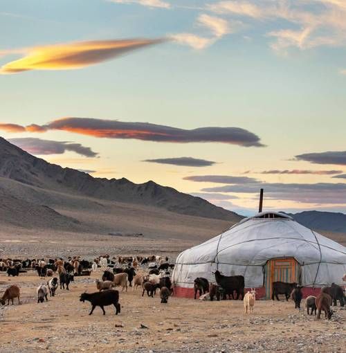 蒙古图片大全哪里找_蒙古草原高清图怎么拍