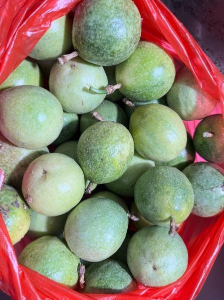 百香果图片大全大图_如何挑选成熟果实