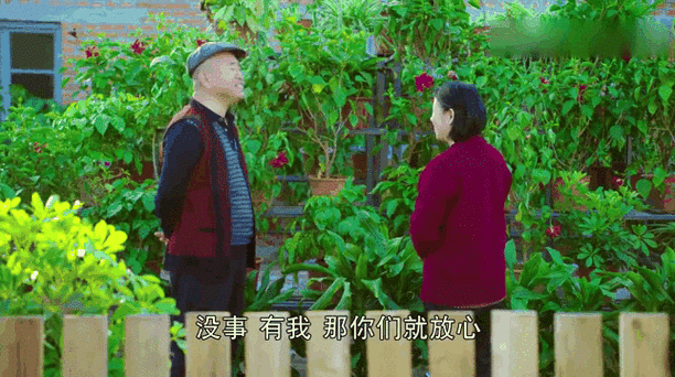 乡村爱情9迅雷下载_哪里能看完整版