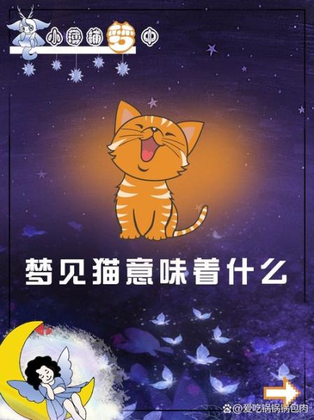 梦到一群猫是什么意思_猫群梦境解析