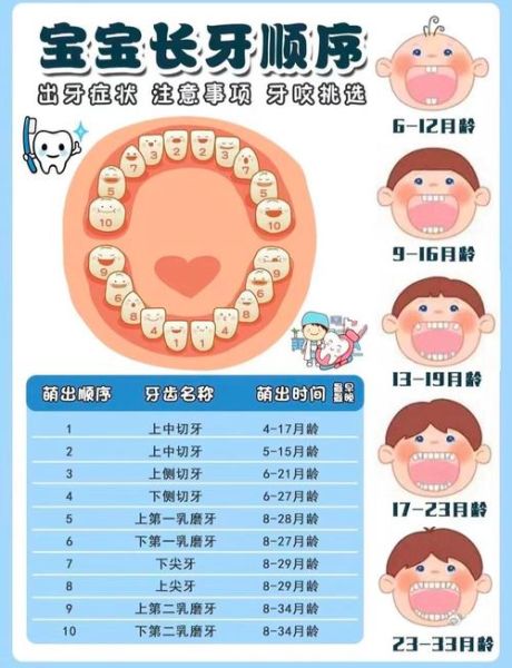 宝宝几岁换牙正常_乳牙脱落顺序