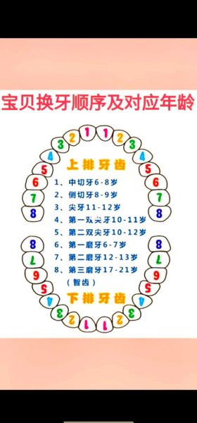宝宝几岁换牙正常_乳牙脱落顺序