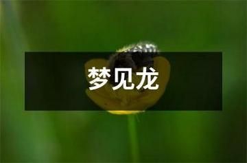 孕妇梦到龙是什么意思_孕妇梦见龙是生男孩吗